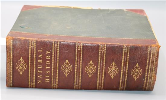 LE CLERC, Natural History..., New Edition, trans. W. Smellie, Vol I, London, Virtue & Co, gilt-tooled half-Morocco (a.f)